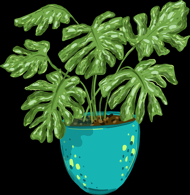 从生态布局看海角app冷门贴士爆点整理