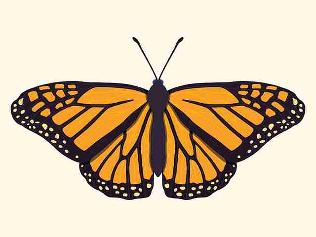 每日大赛深夜赛程看点全记录——观众热评深度复盘