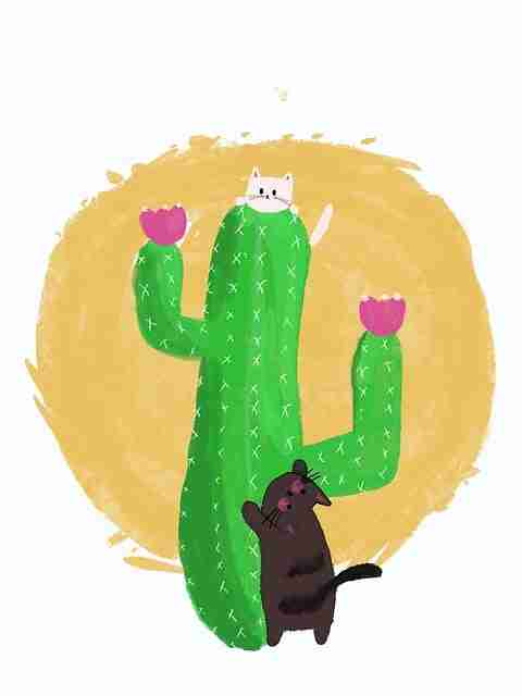 【权威】鉴黄师官网争议焦点沉浸版